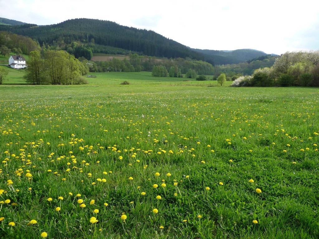Landhaus Lenneper-Fuehrt Kirchhundem Extérieur photo